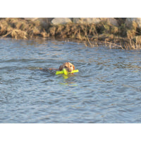 V7HFC1D36019B68C68AA5E751CD12E559D6R7443188P9