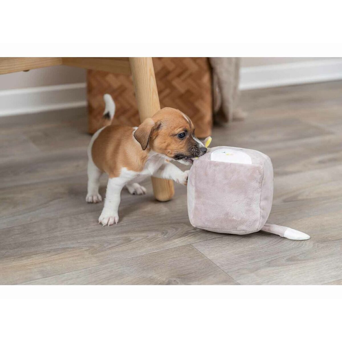 V8H13C8FB165DBB18571EFF8A2AE4DD3D7CR7456529P7