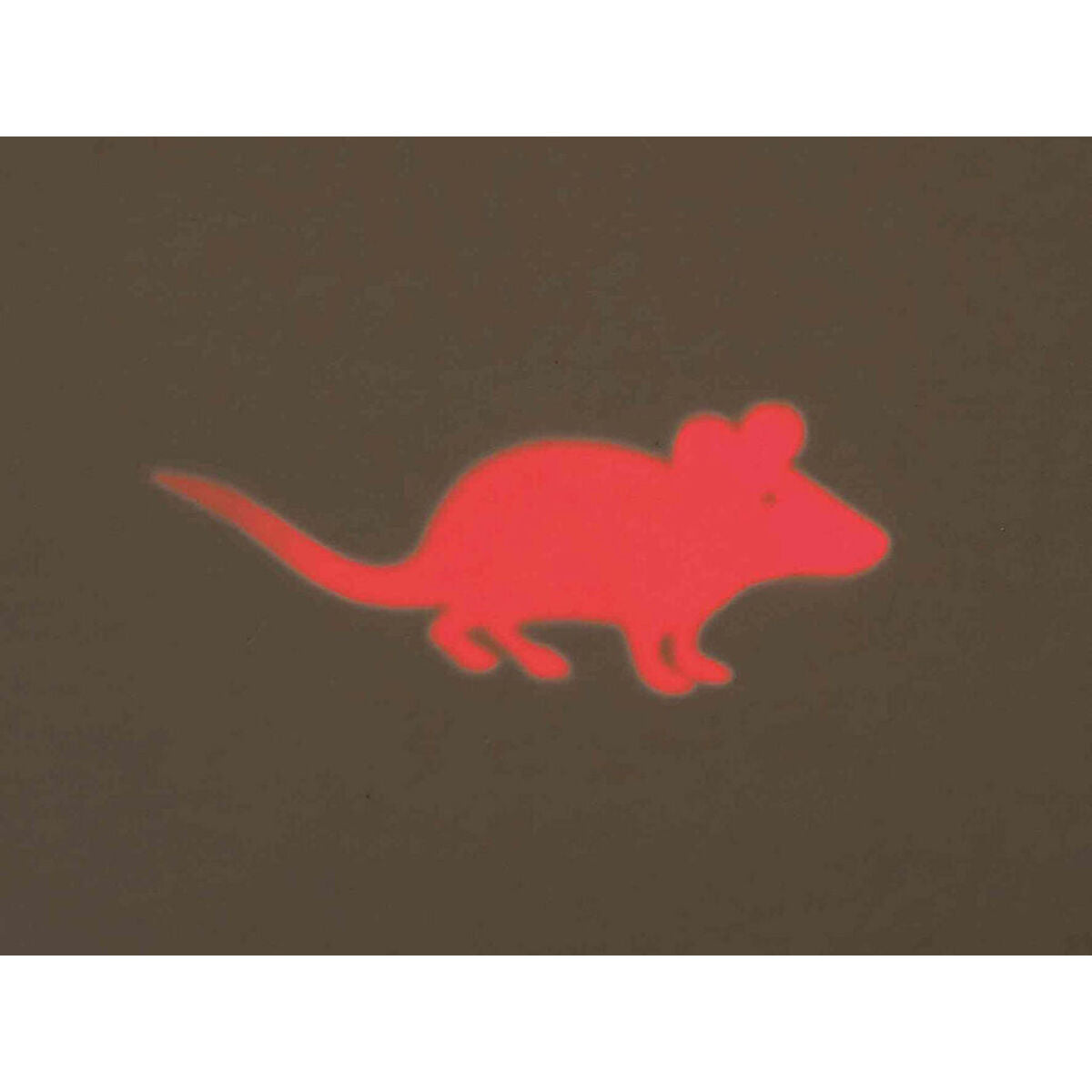 V6H30063C549CCA8F726CFA66BD1F65BC74R7444929P5