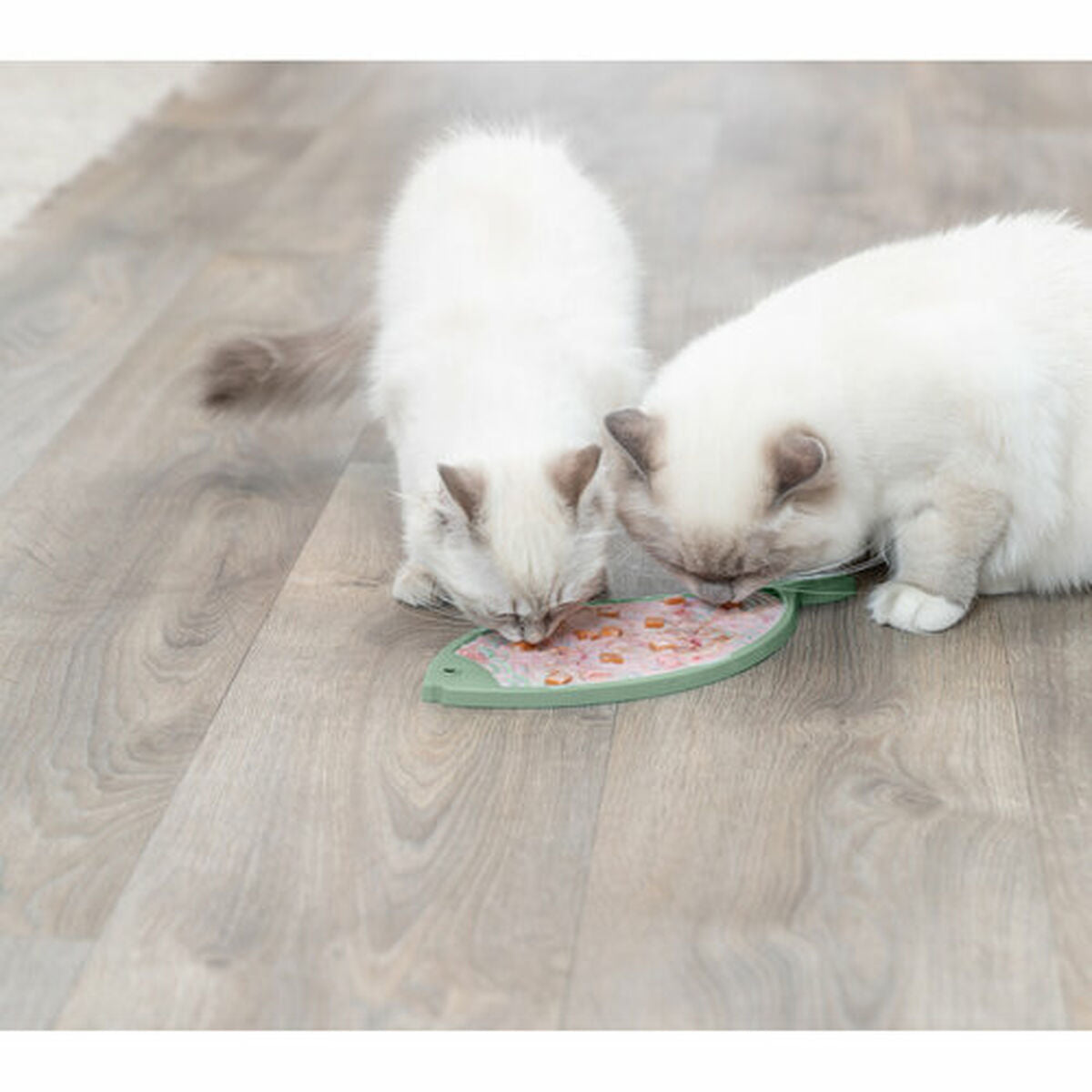 V6HA4FD73FD536DEC6015A7CDA135FA2A2BR7455928P6