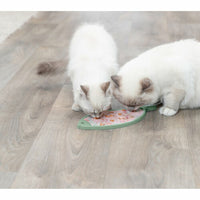 V6HA4FD73FD536DEC6015A7CDA135FA2A2BR7455928P6