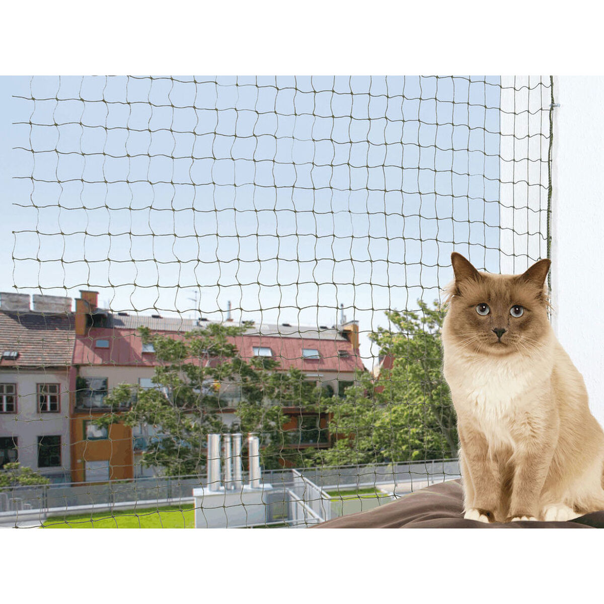 V6H1CDDFE7163ACBB12A642FCBC92FE558ER7444816P1