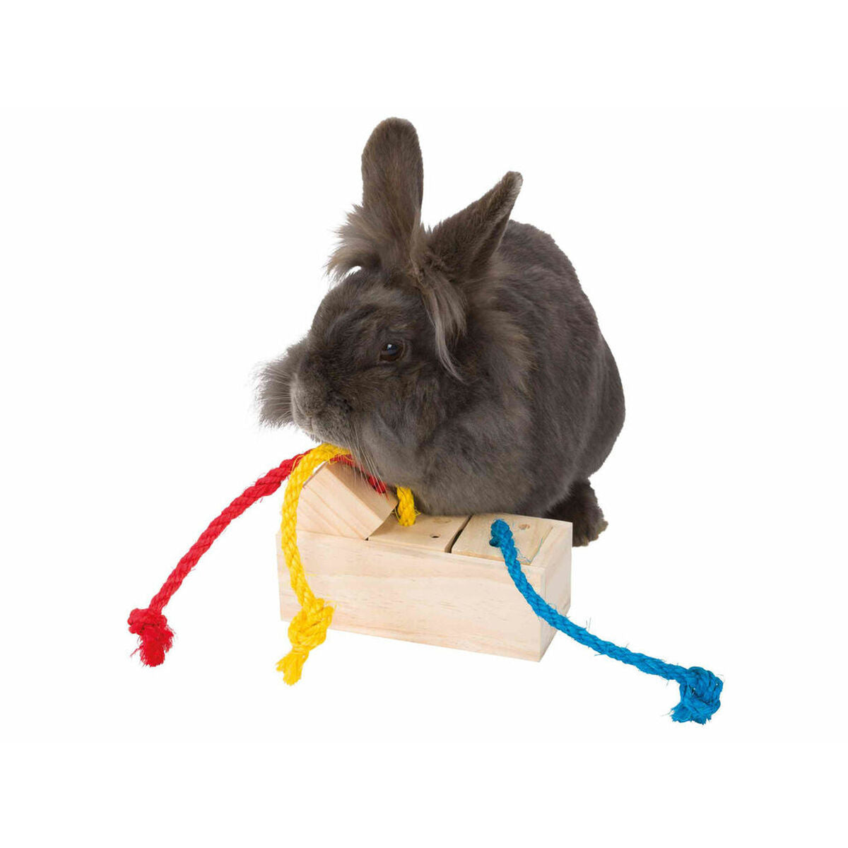 V6HC182685313990429AA5C5C42C8CD0032R7446683P5