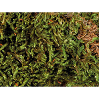 V5H204532075103720075A31D1EE17552CFR7446500P3