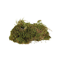 V5H16B644034CA8F3837E2C57208971F19AR7446502P5