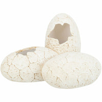 V7H272236A45533FA34F38C932913808B9DR7455826P2