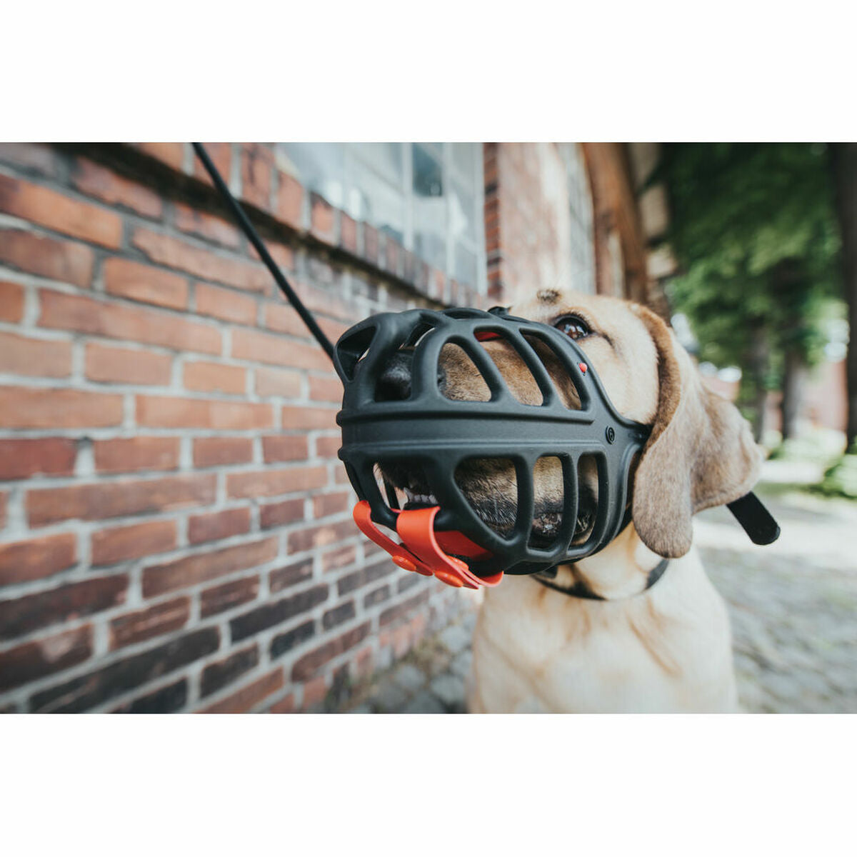 V7HDCBF2B8AD78DC8C74179EC9642DAC67DR2386996P2