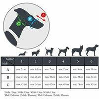 V7H2F5D4D23E6E22F83C6AABB8EE8573DD4R2386981P2