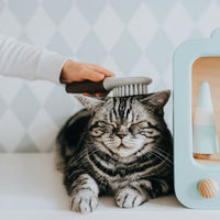 V10H66E6C00C3C3A56D39CEB2481D184AC19R4267965P3