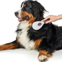 V10HDC1E4F4F9475A1652A878A81C7F37160R4014051P4