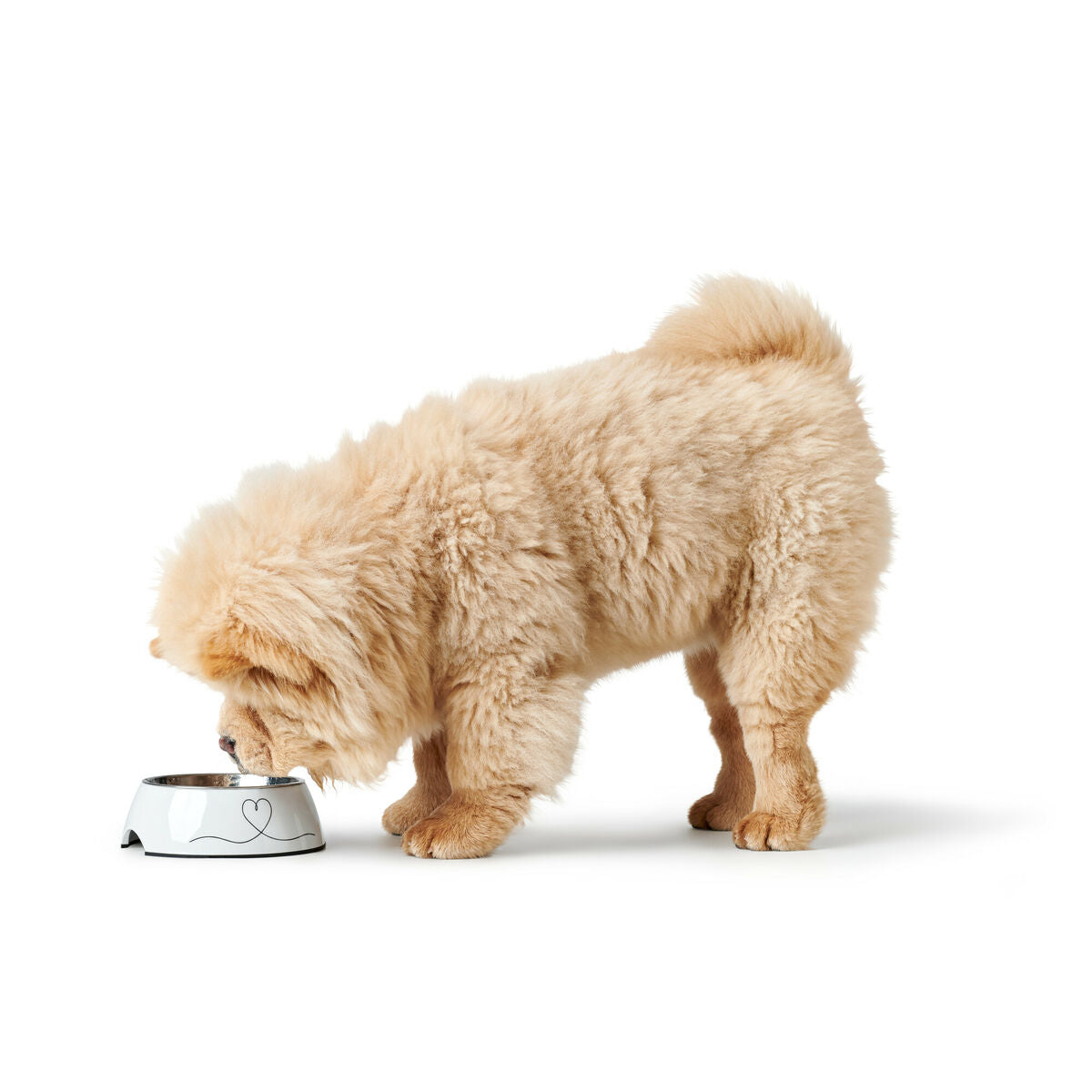 V4H9EB8BD6B0FD1603B82118260F3303332R5574398P2