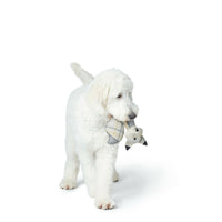 V6H50A8468C68BAB85FD3B91361D04FD0DER5333697P3