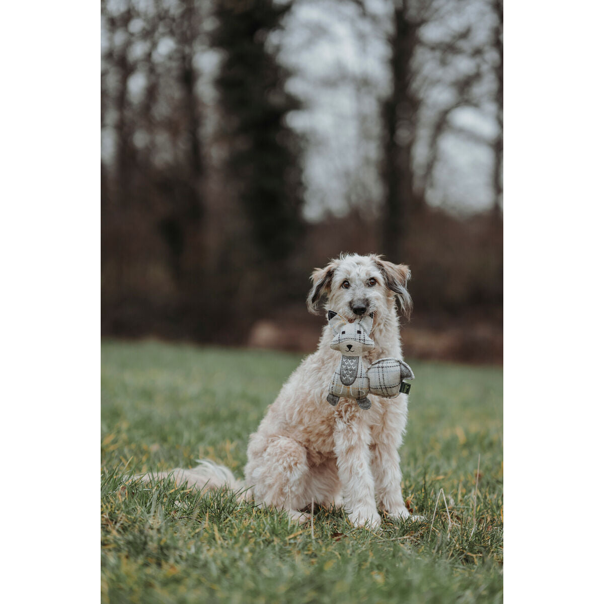 V6H8CEFEE9B0ECC7FD288756BF6320589FDR5333702P5