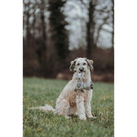 V6H8CEFEE9B0ECC7FD288756BF6320589FDR5333702P5