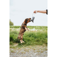 V4H9CC7D64017460EFA88AFF93C7940187BR5574736P3