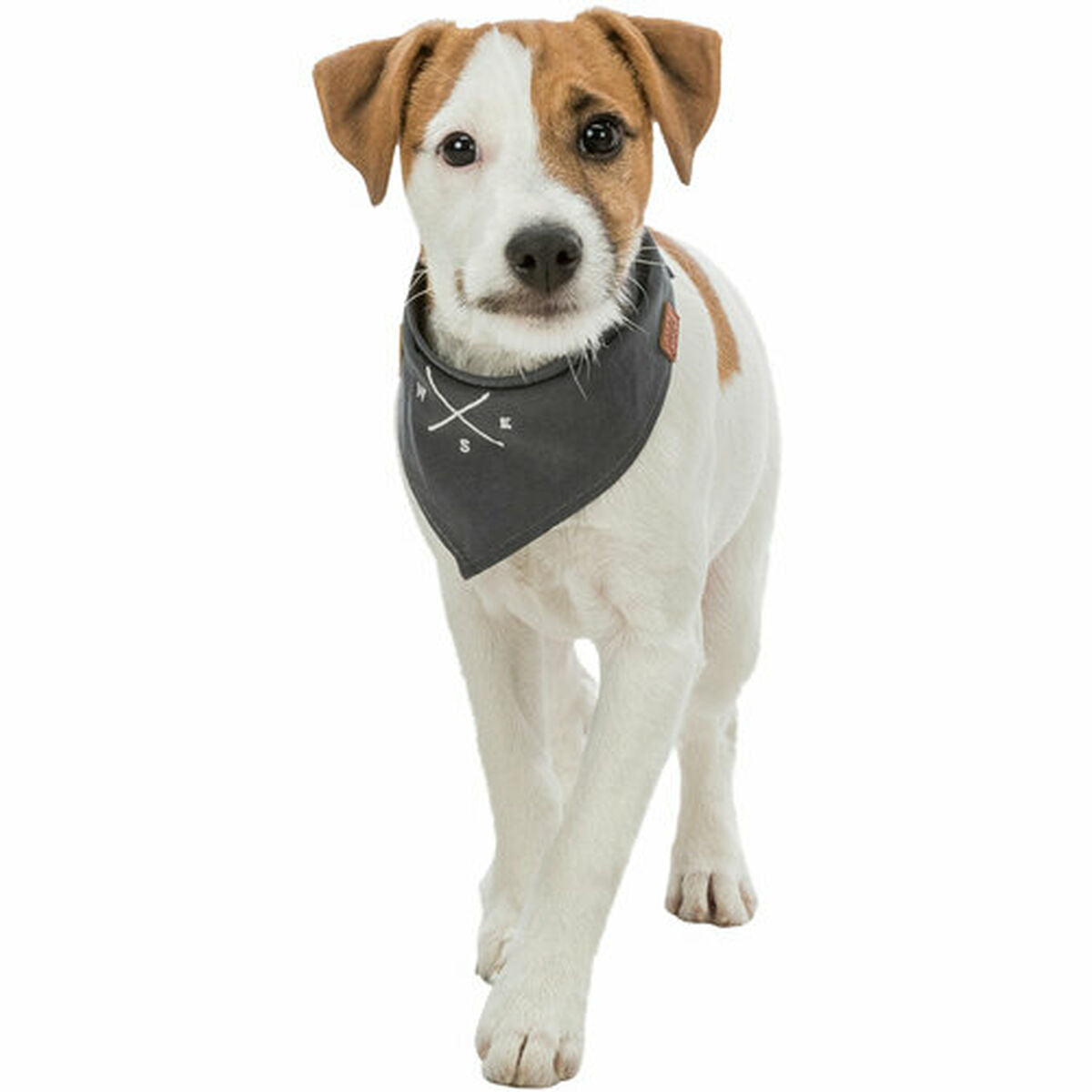 V5HC3D0ADC0C374CC8BECF21A1E05A93DC6R7453694P8