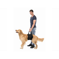 V6H39E9171DF62BB0561A54B55E2D72E45AR7439941P3