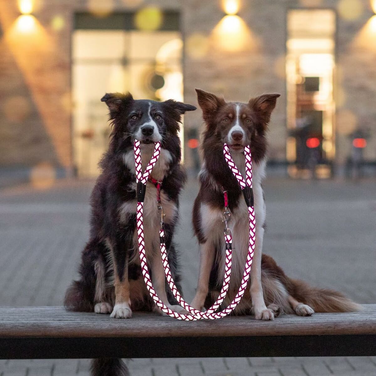 V6HE262A149F3D5D776F1D07A53C0EA1B99R5329953P5