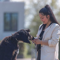 V6H70B37E5F54ED78698F36FECFCFE80FD5R5330514P6