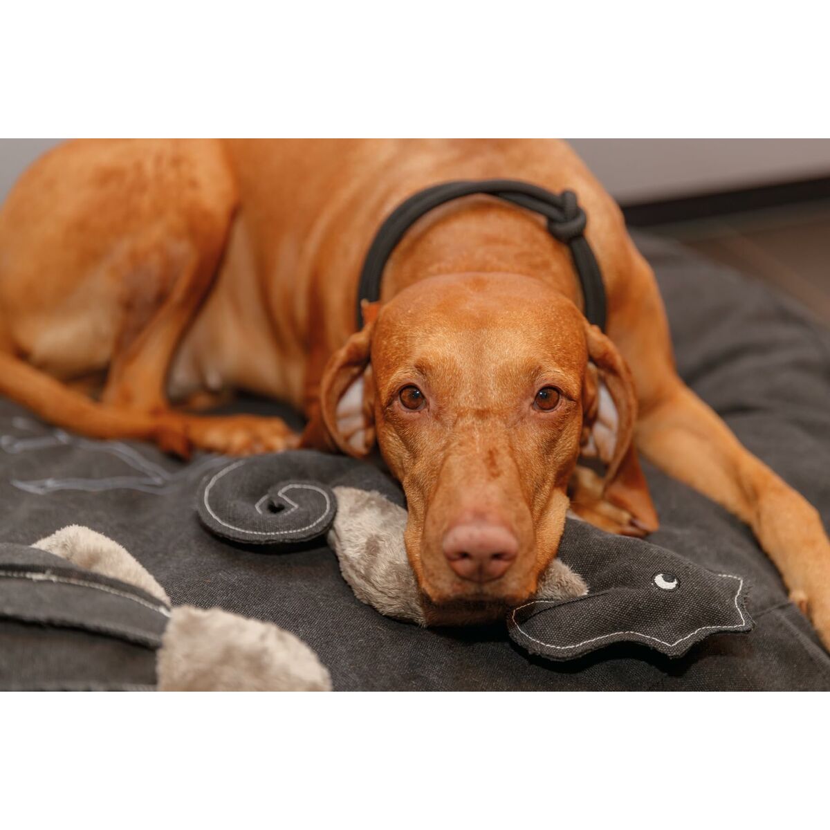 V6H8A57CE8BCF73DA3360E760312354F69AR5330730P4