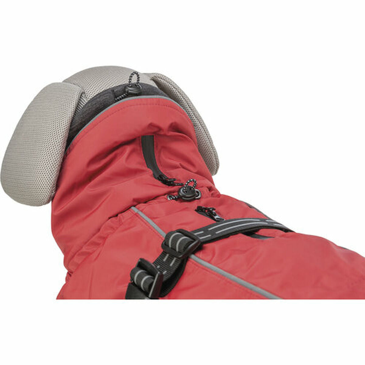 V6H786D6DCEA67695C64C865A906722F950R7449426P10