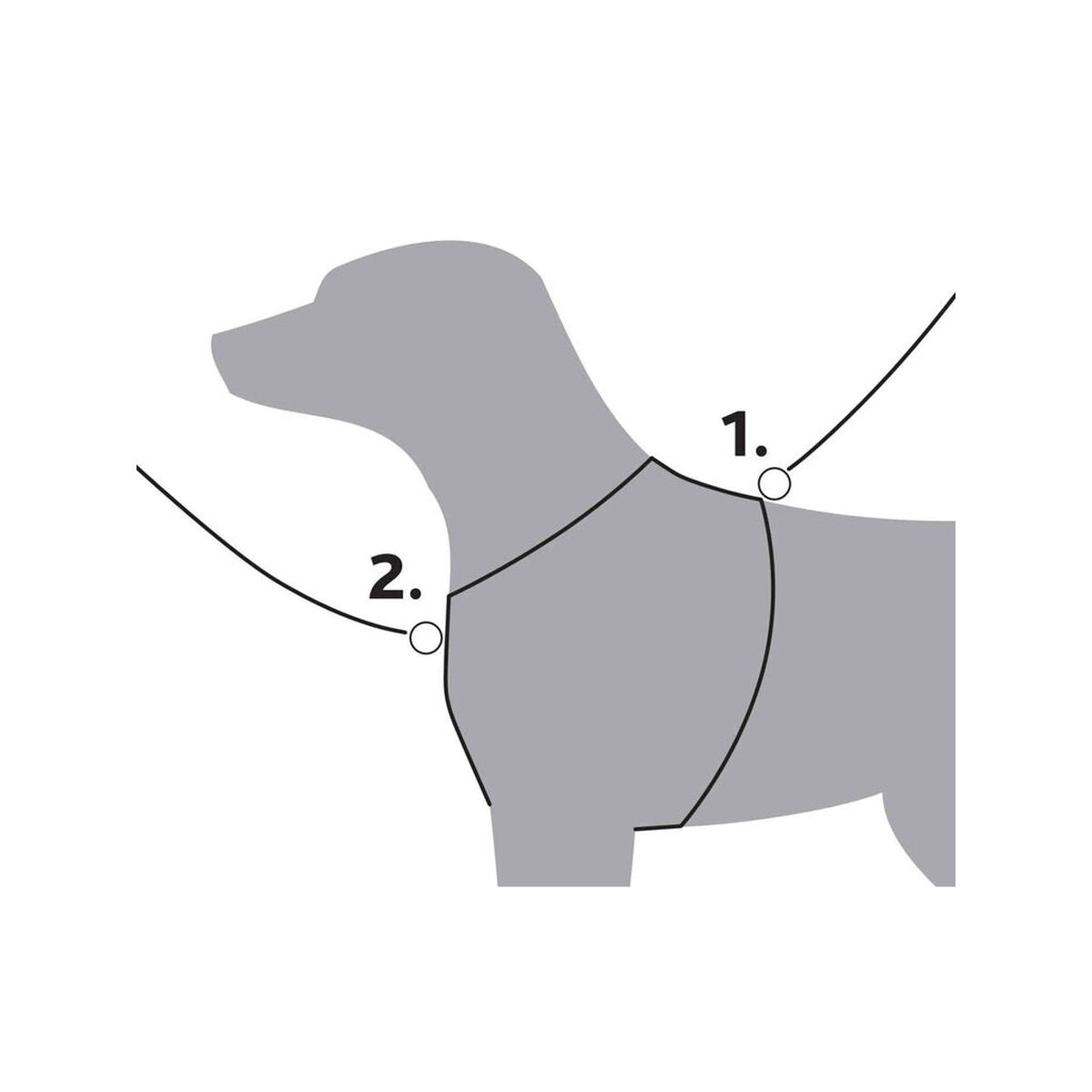 V6HC018C3CB85E6F4A709C9E775923B8CF2R7458985P3