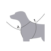 V6HC018C3CB85E6F4A709C9E775923B8CF2R7458985P3