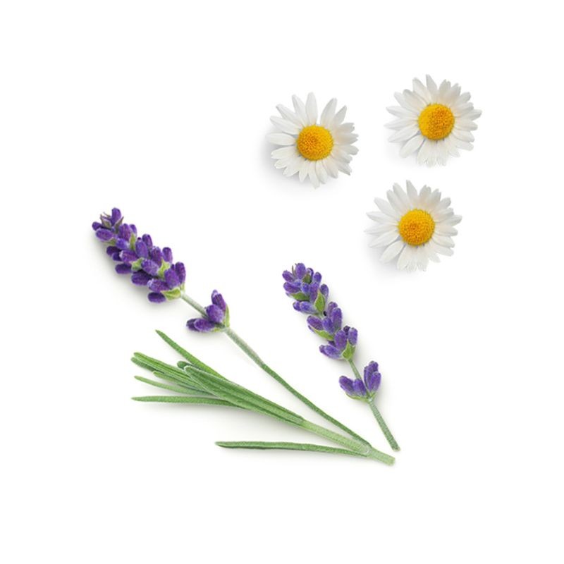 Blend relaxante Calmer doTERRA Roll-on - 10 ml