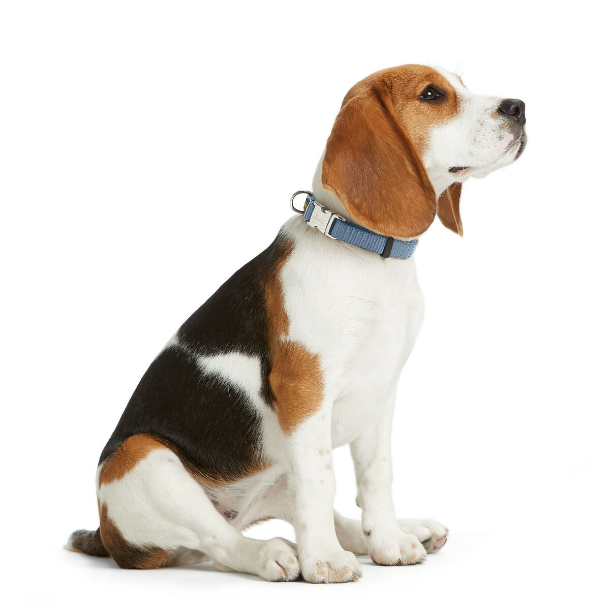 V3H7AAB4A0DA227D64B2223DCC3E9ABA6C1R5582612P2