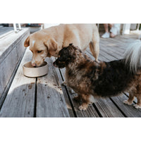 V4H54D2204EBBA87B28BB343B6689ED2BD7R5587765P5