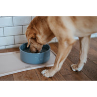 V4HEAC43DA38235F3D9D556B1896B08C29FR5584246P4