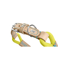 V3H9C1E5114526B3BCA47B710DC238FBBACR5575463P3