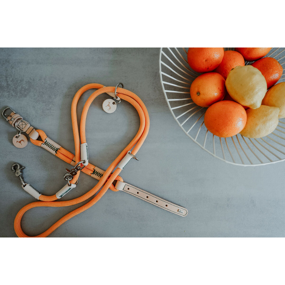 V3H666EA85AE324E11F6C04FE7D9BEFB9F6R5582802P6