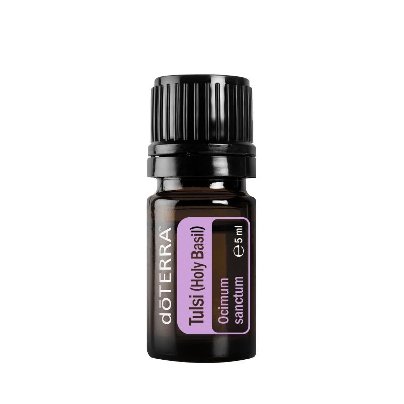 Óleo essencial de Tulsi (Manjericão sagrado) doTERRA - 5 ml