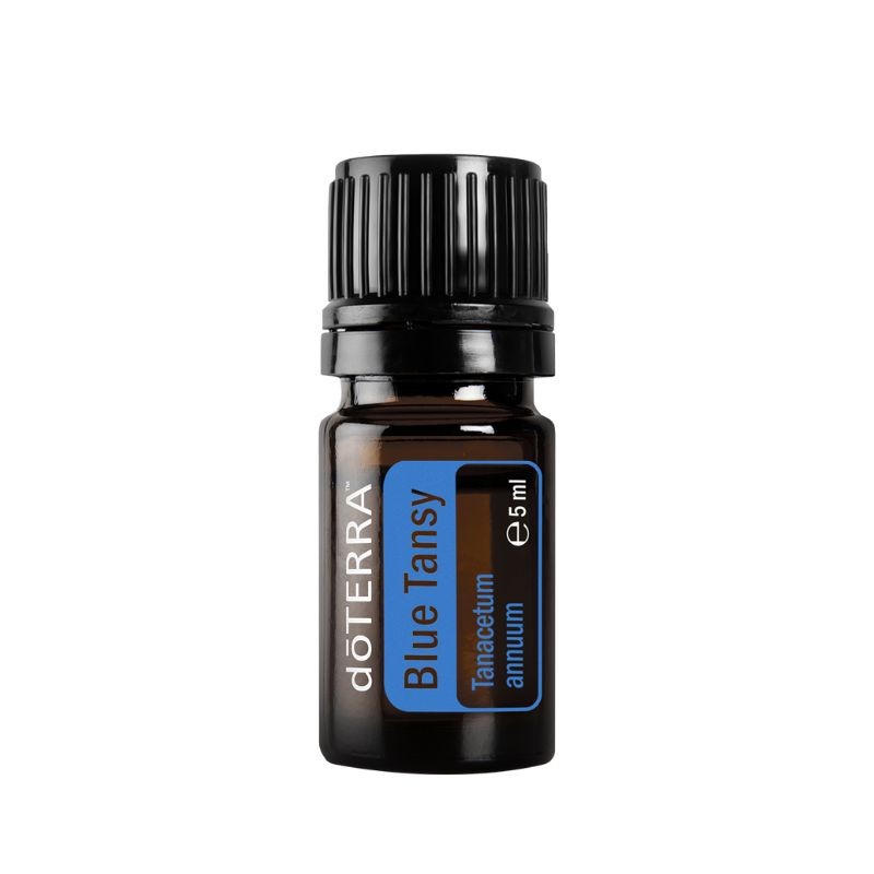 Óleo essencial de Tanaceto azul (Blue tansy) doTERRA - 5 ml