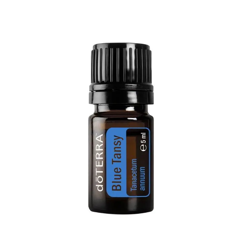 Óleo essencial de Tanaceto azul (Blue tansy) doTERRA - 5 ml