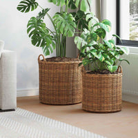 vidaXL Cesta de Plantas com armazenamento 2 pcs Cinzeto Rattan Lacak