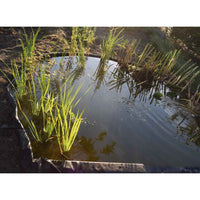 Ubbink Borda de jardim 19 cm x 15m 7mm preto