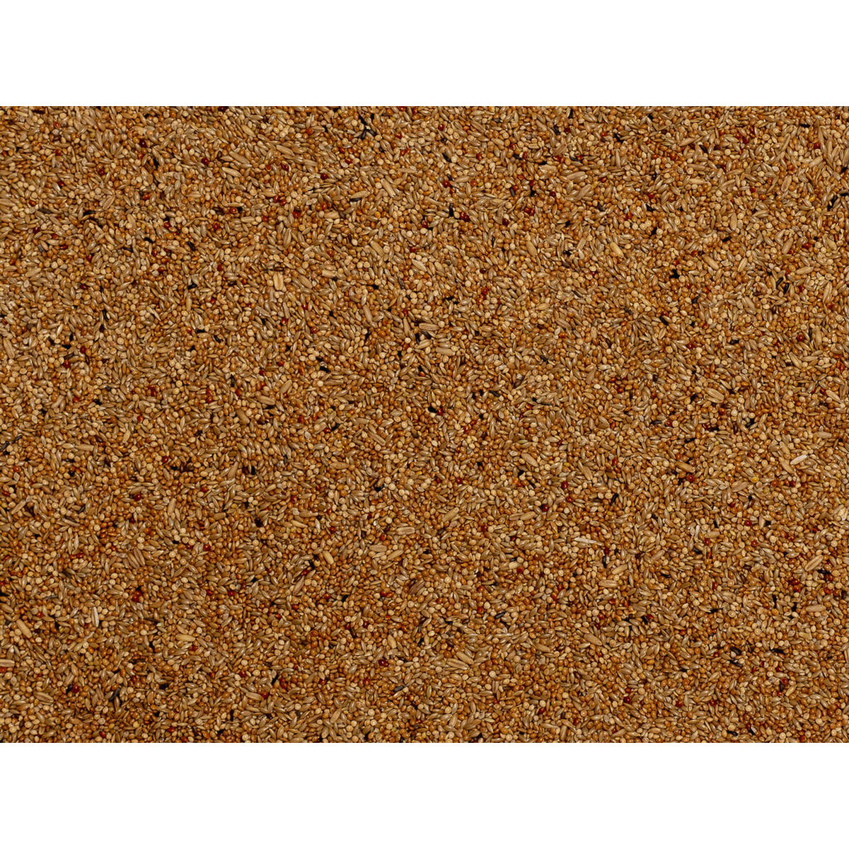 V6HD2DF7EC1488CF15A8BF9E8662FD65D41R7450093P3