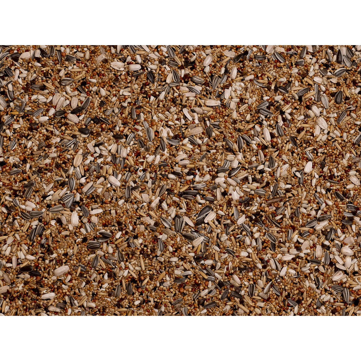 V6H47469E0905B8107EC843C296739BF854R7444020P3