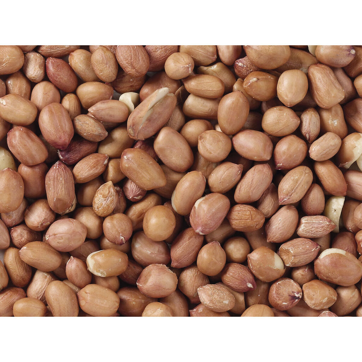 V5H36B6B0E93CA7A72E76B83BE63C00EF58R7449966P3