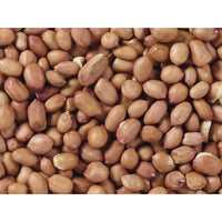 V5H1A37A2862DBBCCB9820CD8D06C0EF507R7449972P3