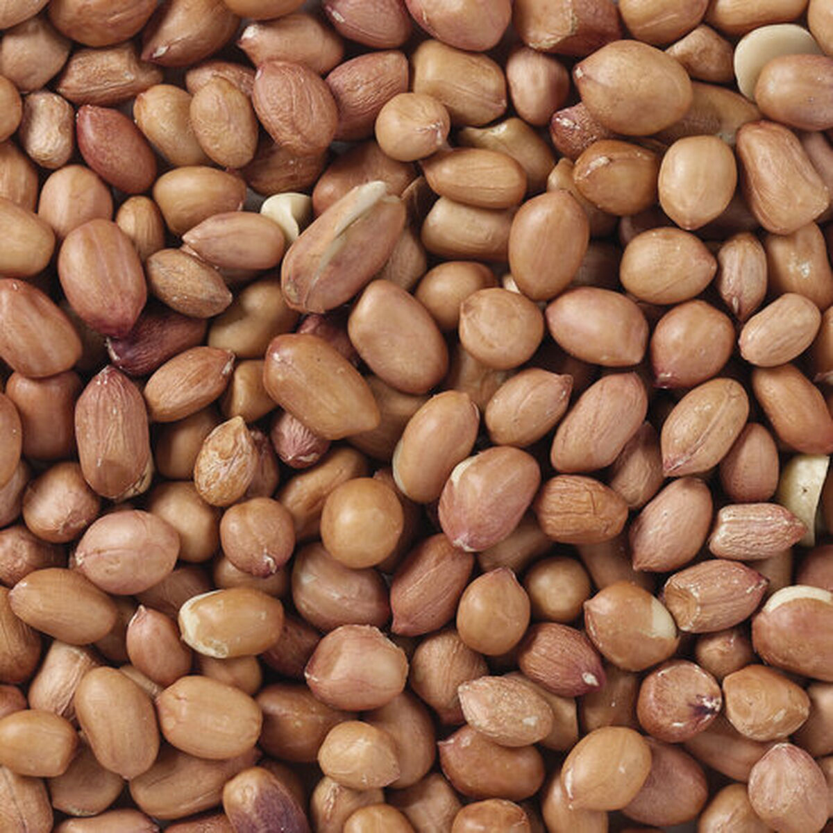 V5H3E9DA8BC80A5FF85020F48E64222327FR7449974P4