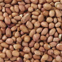 V5H3E9DA8BC80A5FF85020F48E64222327FR7449974P4