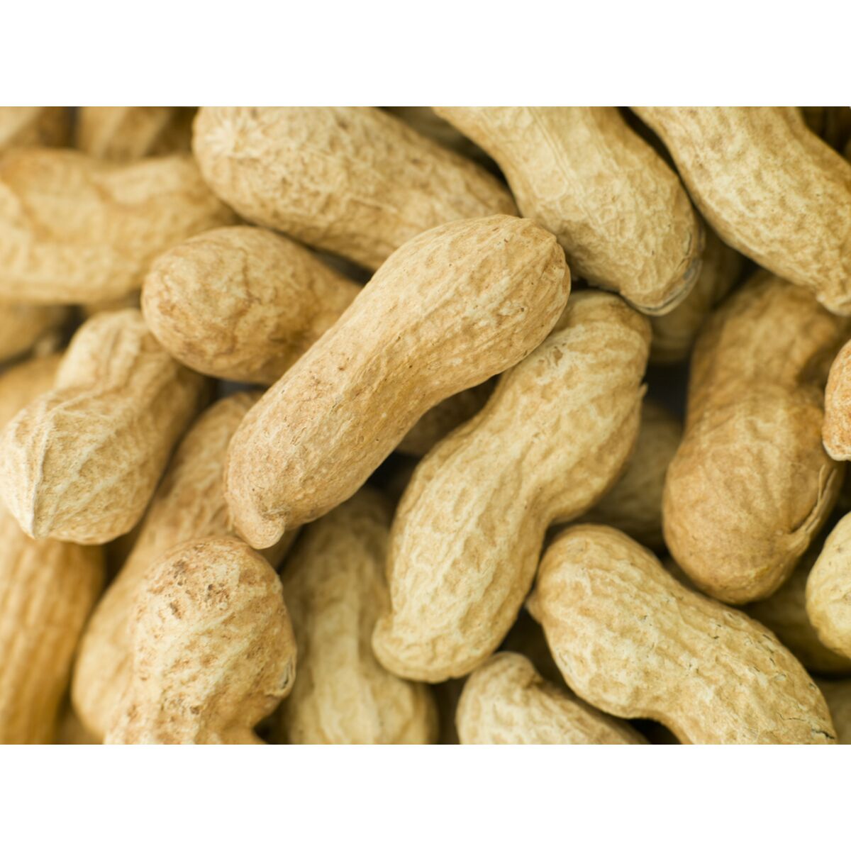 V5H2F9F25EC63120DA1E91F3600B0ED5193R7447879P3