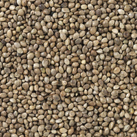 V6H39BCC0A9733A2E4DDC9CCC58BDF7271DR7449983P4