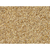 V6HCBE9F43D016E5690E7D319280DD85F0BR7450058P3