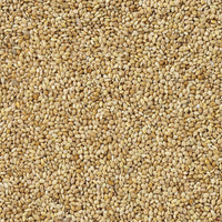 V6H2BF9156AA9C1E9E7F0FA712C40339509R7450059P4