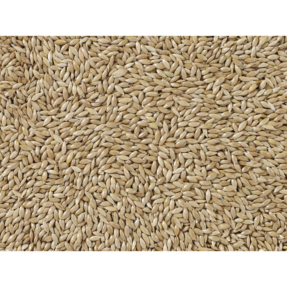 V5HC94A4E8AE24E85E3315BA7C7B66497D8R7450072P3