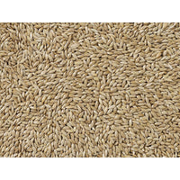 V5HC94A4E8AE24E85E3315BA7C7B66497D8R7450072P3